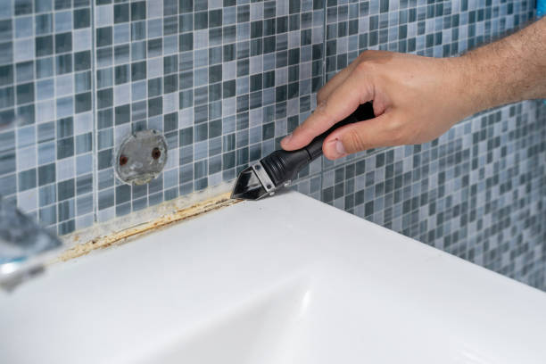 Best Mold Removal Company Near Me  in Wrangell, AK