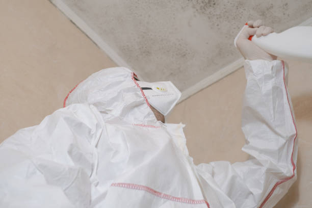 Crawl Space Mold Removal in Wrangell, AK
