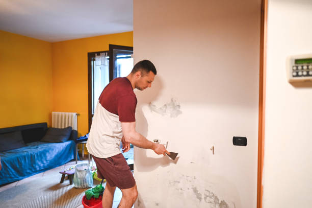 Best Water Damage Restoration  in Wrangell, AK